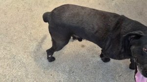 ВСЁ ДЛЯ НАШЕГО ОТДЫХА...ДЕТИ ПОСТАРАЛАСЬ...