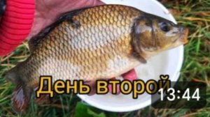 КАК ПРОВЕСТИ НЕЗАБЫВАЕМЫЕ ВЫХОДНЫЕ НА ПРИРОДЕ 👍🐟 И ОТДОХНУЛИ, И РЫБЫ НАЛОВИЛИ 👍🐟