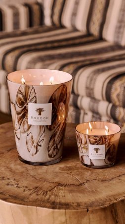 Baobab Collection HAND-BLOWN