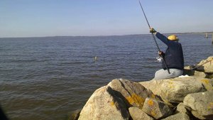 Возвращение Деда на море.