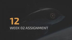 W2_12_week_02_assignment