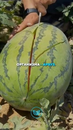 VID_20250723_221708_356.mp4