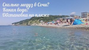 Сочи -Дагомыс. Состояние воды. Цена на развлечения на пляже.