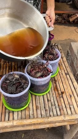 Вкусный рецепт приготовления крабов — маринование морских крабов    краб