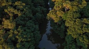 Археологи обнаружили в Сахаре неизвестный род человечества