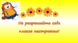 Анекдоты и весёлые ролики