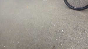 обзор огорода и площадки