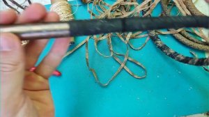 Краш-тест кнута