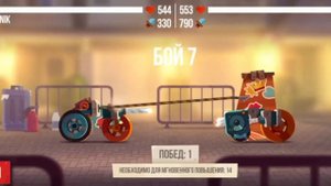 Катс чемпионат