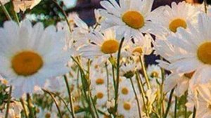 В парке 🌼оййи испугалась🐝 моё решение😉