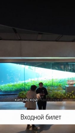 Про основателя фонда