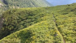 Путешествуем по Алтаю. Короткое видео экскурсии до водопада  Учар.