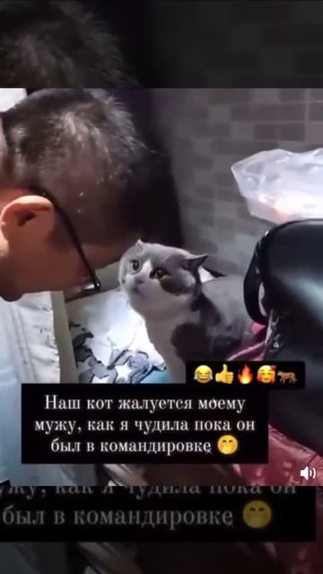 Ну правда же? смотреть онлайн