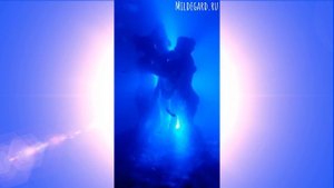 Наши морские обезьянки из фикспрайса в аквариуме с синей подсветкой. Статую печатали на 3D принтере