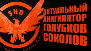 Актуальная сборка аннигилятор Голубков через Соколов The Division 2