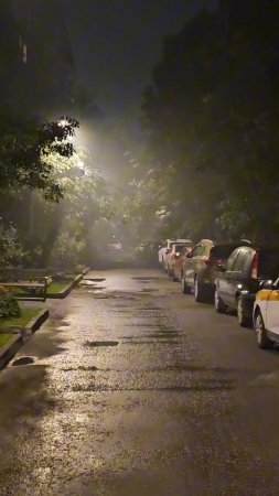 Москву накрыл туман