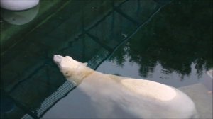 Кай забросил канистру на решётку и смотрит на неё сидя в воде 21.07.2025