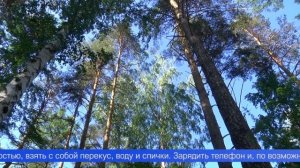 Грибной и ягодный сезон – время не только для удовольствия, но и для повышенной осторожности