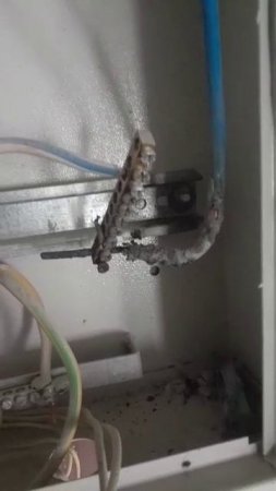 Мое любимое видео