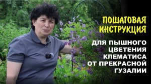 Не цветет клематис? Главная ошибка, которую совершают все. Разбор прекрасной Гузалии