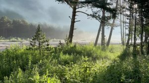 🌄 Утро в Горном Лесу