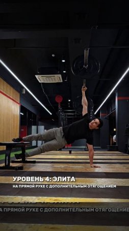 ЭВОЛЮЦИЯ КОПЕНГАГЕНСКОЙ ПЛАНКИ: ОТ БАЗЫ ДО ЭЛИТНОГО УРОВНЯ