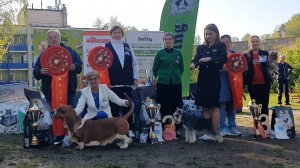 24.05.2025, СПб. Клуб "Аллен" (РКФ, ОАНКОО). Выставка собак всех пород "ОГНИ ПОБЕДЫ" (САС, ЧФ)