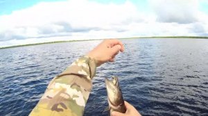 Рыбалка на пяти озерах 19.07.2025 .ЯМАЛ