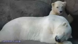Где то на белом свете Аида Ведищева