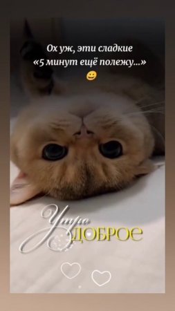 Доброе утро, ЧЕТВЕРГ! 🤗🤗🤗 24.07.2025г. Всем здоровья,  удачи, везения, счастья и позитива! 😁😁😁