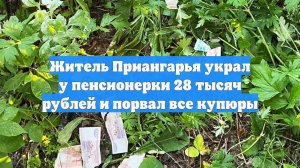 Житель Приангарья украл у пенсионерки 28 тысяч рублей и порвал все купюры