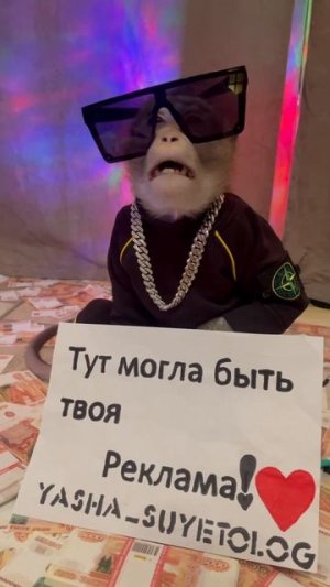 YASHA_SUYETOLOG