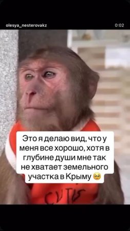 у меня все хорошо