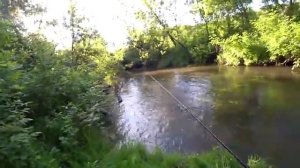 Рыбалка на спиннинг