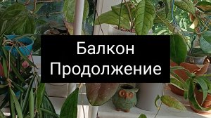 балкон продолжение