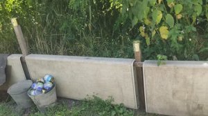 Лайфхаки на участке и  огороде