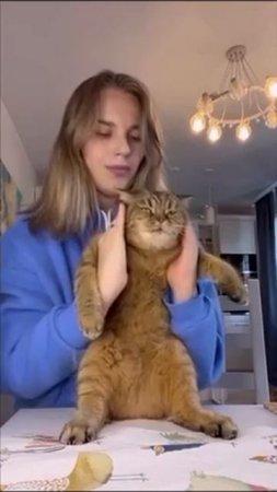 🙀Когда хозяйка насмотрелась этих ваших интернетов