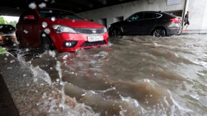 Ливни с грозами ожидаются в Москве. Знойная жара накрыла Алматы и Кызылорду. Погода в СНГ
