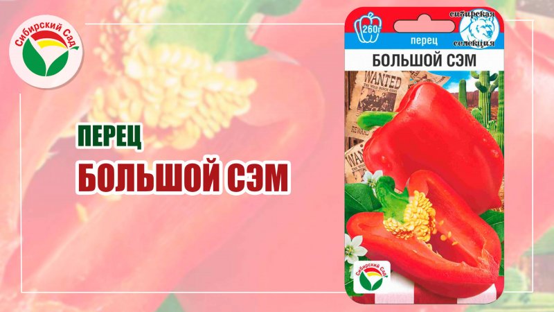 Перец Большой Сэм