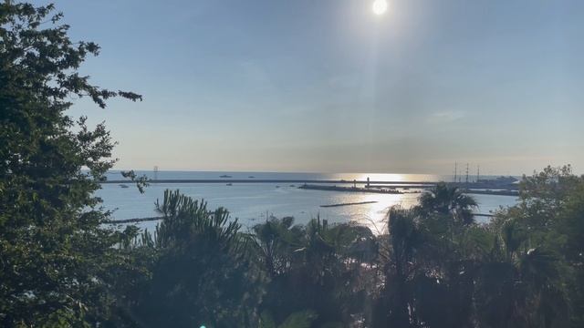 Сочи !!! смотреть онлайн