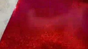 SVM_A0006.mp4