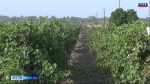 В этом году стартовал федеральный проект "Кадры в агропромышленном комплексе"