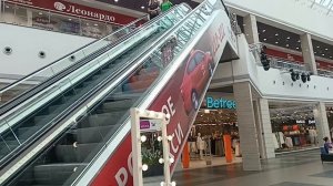 прогулка карасота лета