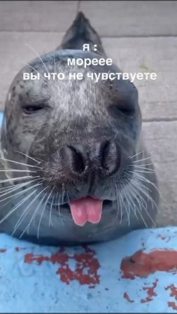 море, что в нём такого