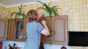Цветы это украшение дома