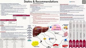 Розувастатин. Что нового на 07.2025
