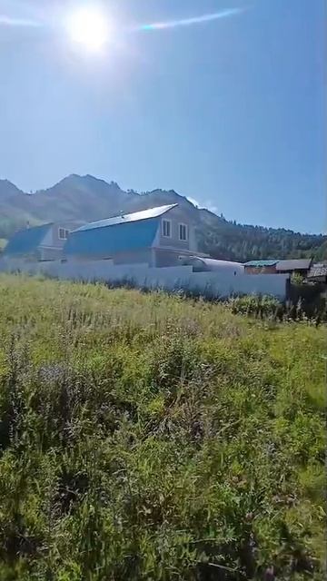 Земельный участок с. Чемал смотреть онлайн