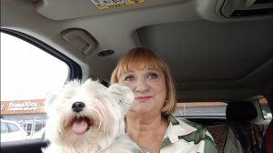 Отвезли Жужу в ветклинику..Она меня укусила...