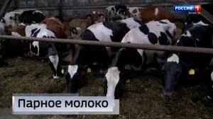 Молочно-товарная ферма в селе Златоустовка оправляется после боевых действий