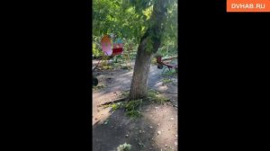 Последствия ливня в Хабаровске